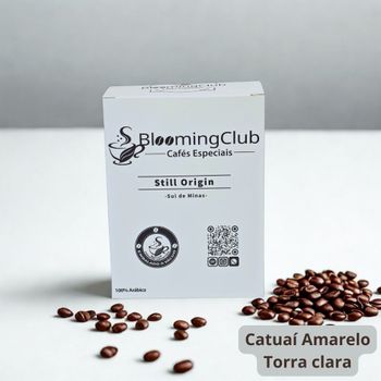 Café Especial Still Origin Torrado | Catuaí amarelo - Sítio Pedra | 250g