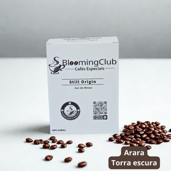 Café Especial Still Origin Torrado e Moído | Arara - Sítio Pedra | 500g