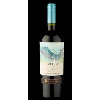 V CH VENTISQUERO QUEULAT SYRAH TT750