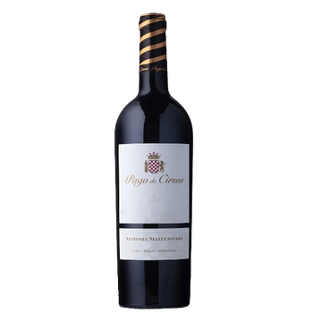  Pago de Cirsus Vendimia Seleccionada Navarra 2020 750ml