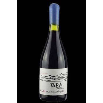 V CH TARA ATACAMA SYRAH