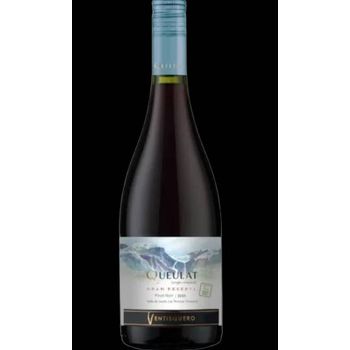 V CH VENTISQUERO QUEULAT PINOT NOIR TT750