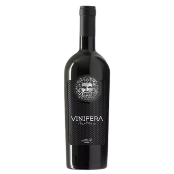 Vinho Vinifera Malbec Argentino 750ml