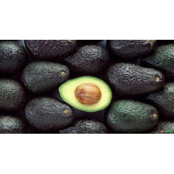 Avocado Abacate - 10 Doses Congeladas