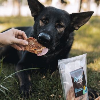 Filé de Frango Desidratado | 70g