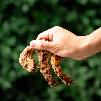 Pescoço de Galinha Desidratado | 70g