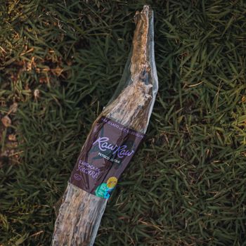 Carcaça de Jacaré Desidratada | 1 unidade G