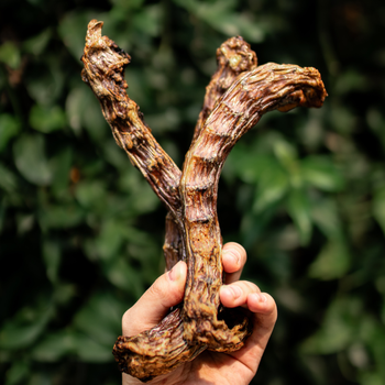 Pescoço de Pato Desidratado | 3 unidades