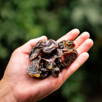 Moela de Pato Desidratada | 70g