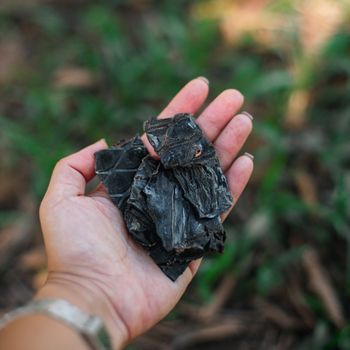 Fígado Suíno Desidratado | 70g