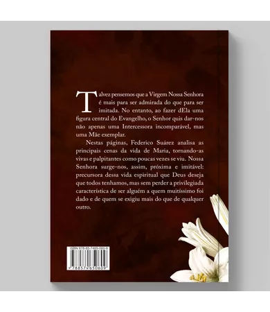 Livro A Virgem Nossa Senhora