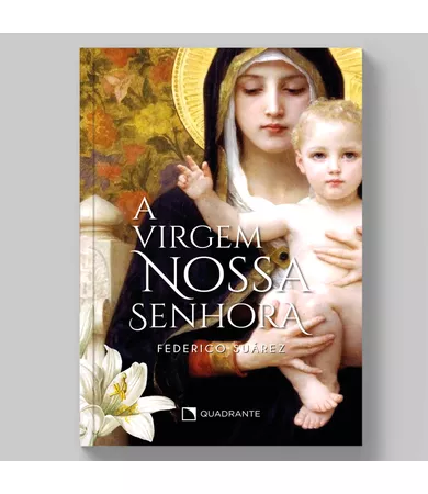 Livro A Virgem Nossa Senhora