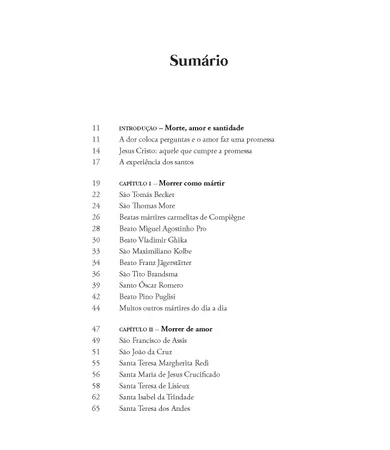 Livro Como morrem os santos: 100 histórias de ressureição