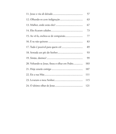Livro O amor nos vê