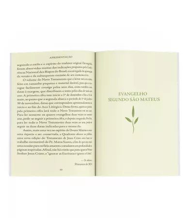 Bíblia Sagrada: Novo Testamento — Capa dura, edição premium