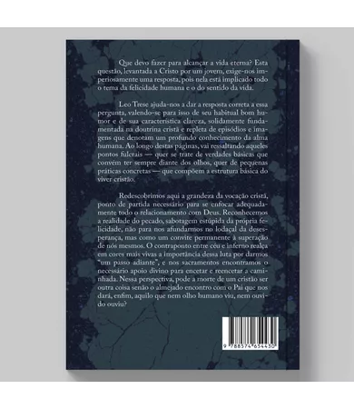 Livro A caminho do céu