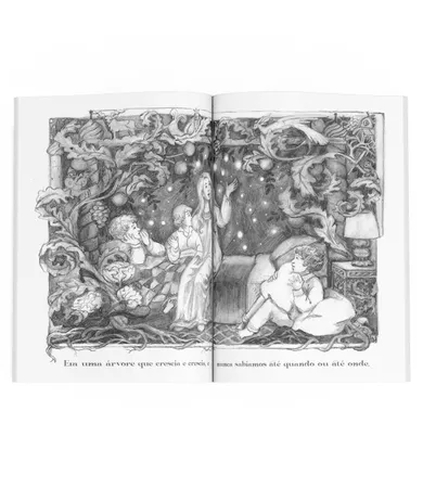 Livro Um conto de Natal para o Barroux