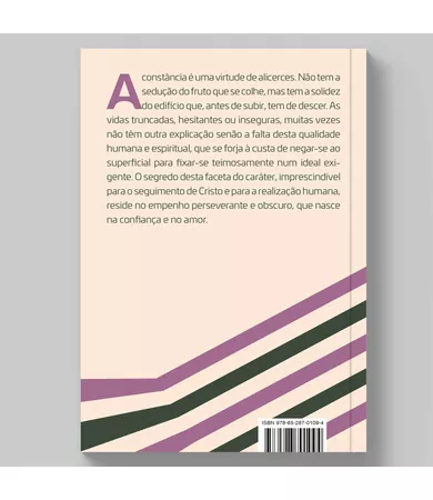 Livro A Constância: Como levar seus propósitos até o fim