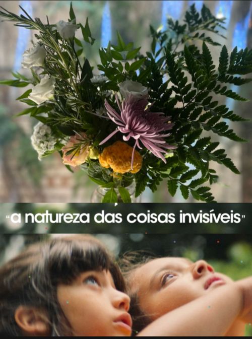 Arranjo A Natureza das Coisas Invisíveis + 2 Ingressos de Cortesia para o Filme 
