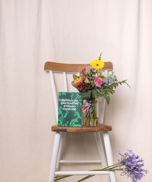 Kit Revolução Das Plantas 