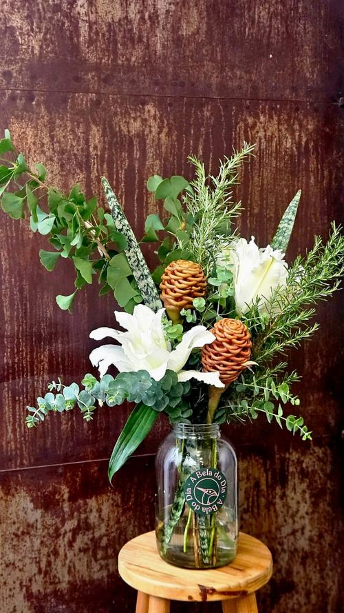 Arranjo Xô Urucubaca