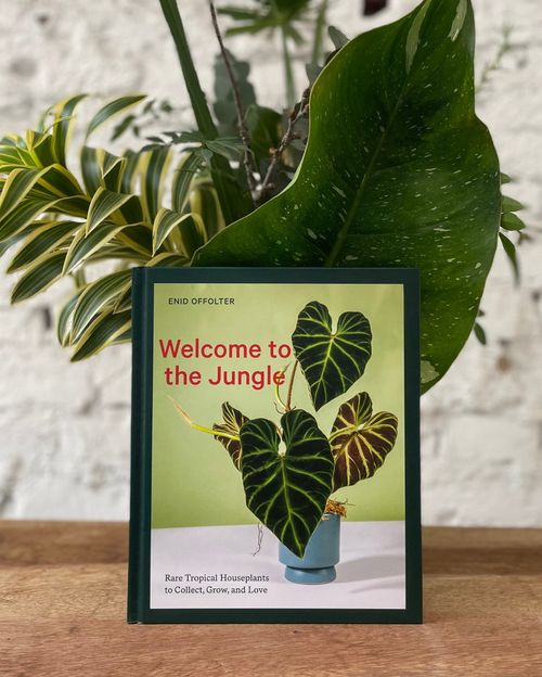 Livro Welcome To The Jungle