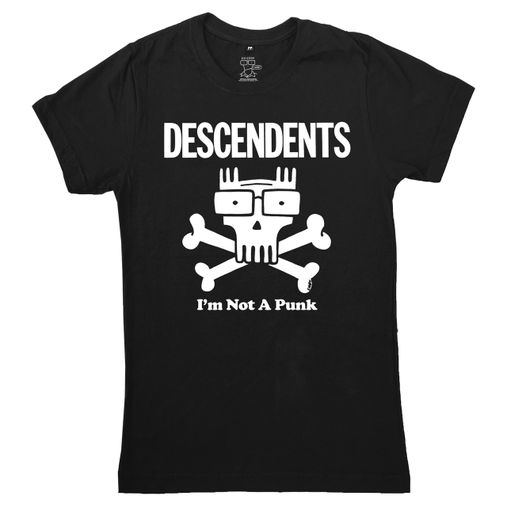 Descendents - I'm Not A Punk