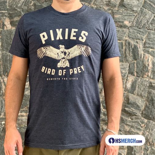 Pixies - Birds Of Prey