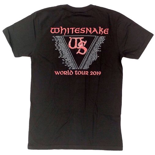 Whitesnake - Flash and Blood Band