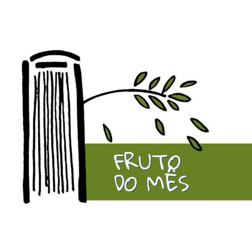 FRUTO DO MÊS
