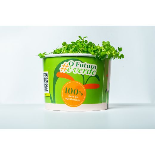 Microverdes de Mostarda