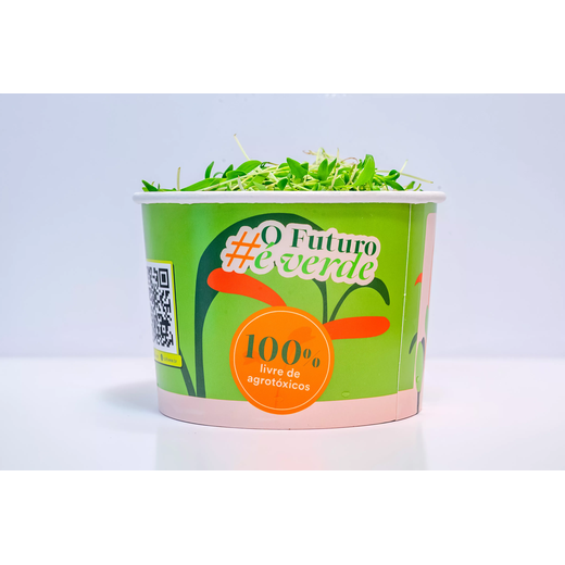 Microverdes de Coentro