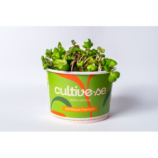 Microverdes de Rabanete 