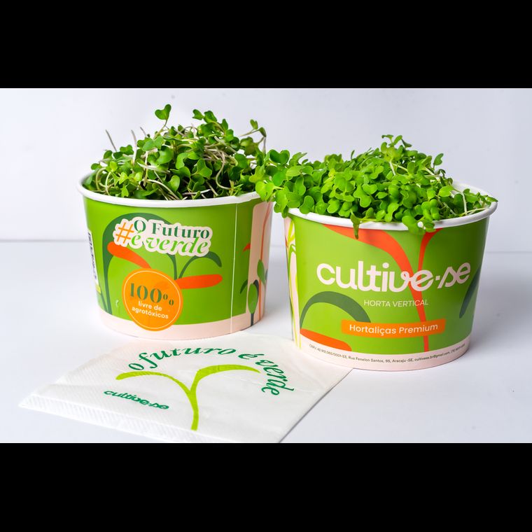 Microverdes de Couve
