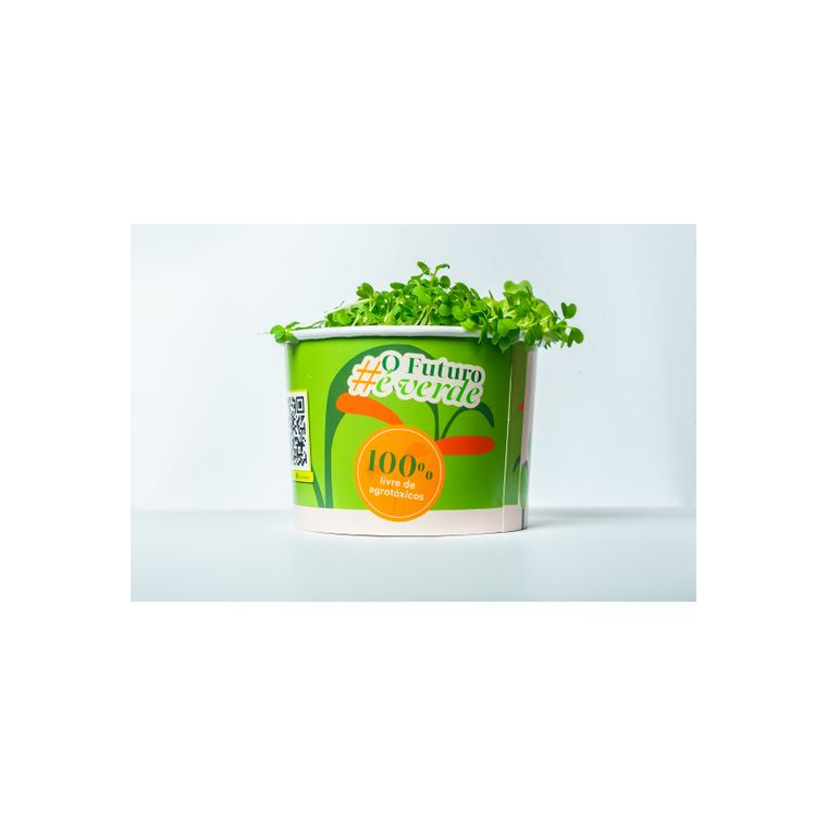 Microverdes de Mostarda
