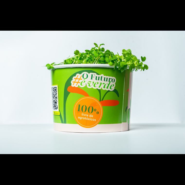 Microverdes de Mostarda