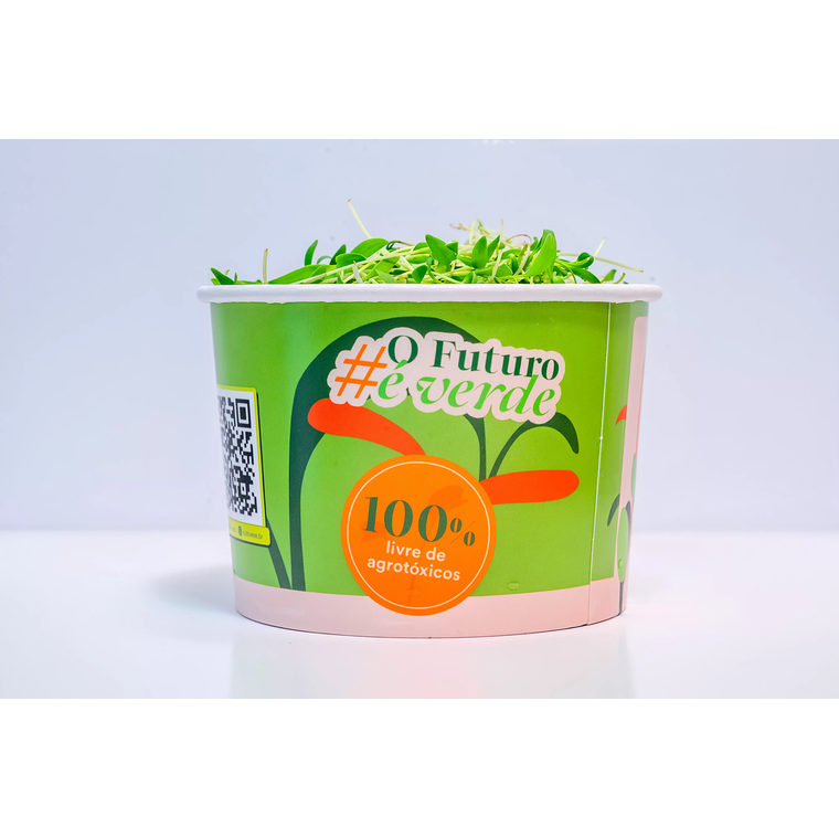 Microverdes de Coentro