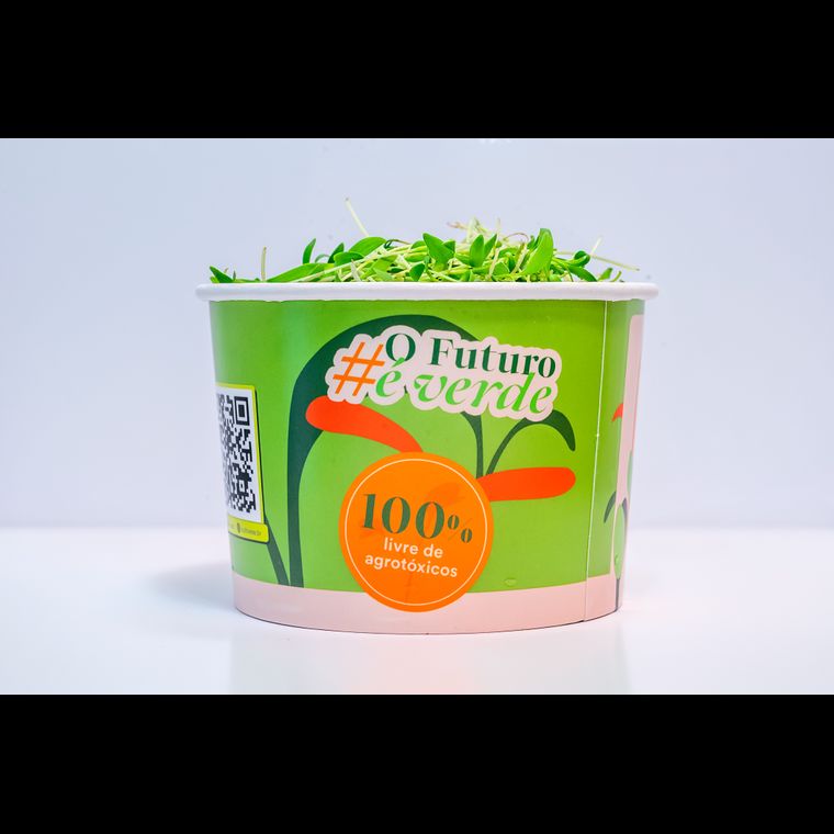 Microverdes de Coentro
