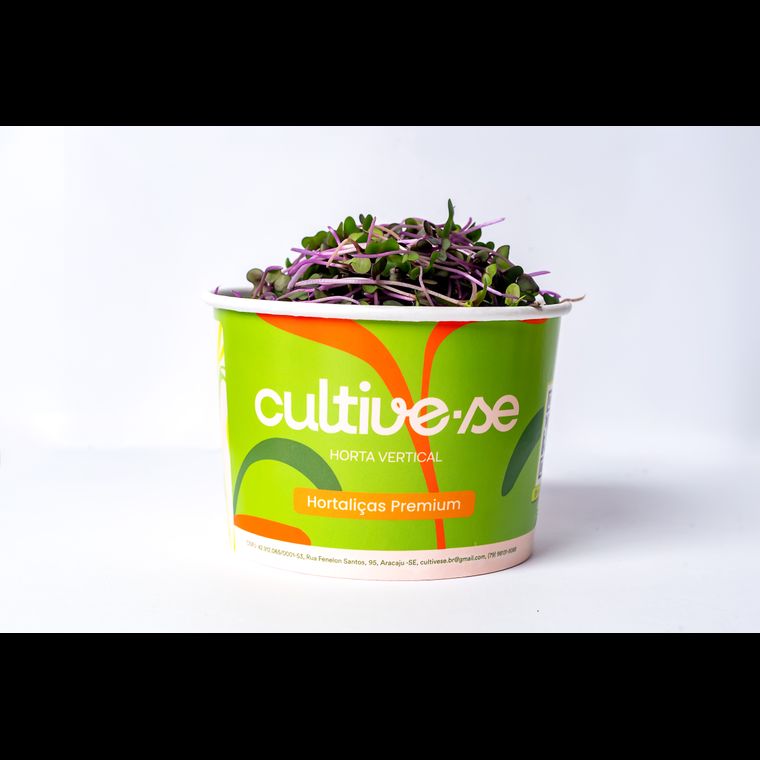 Microverdes de Repolho Roxo