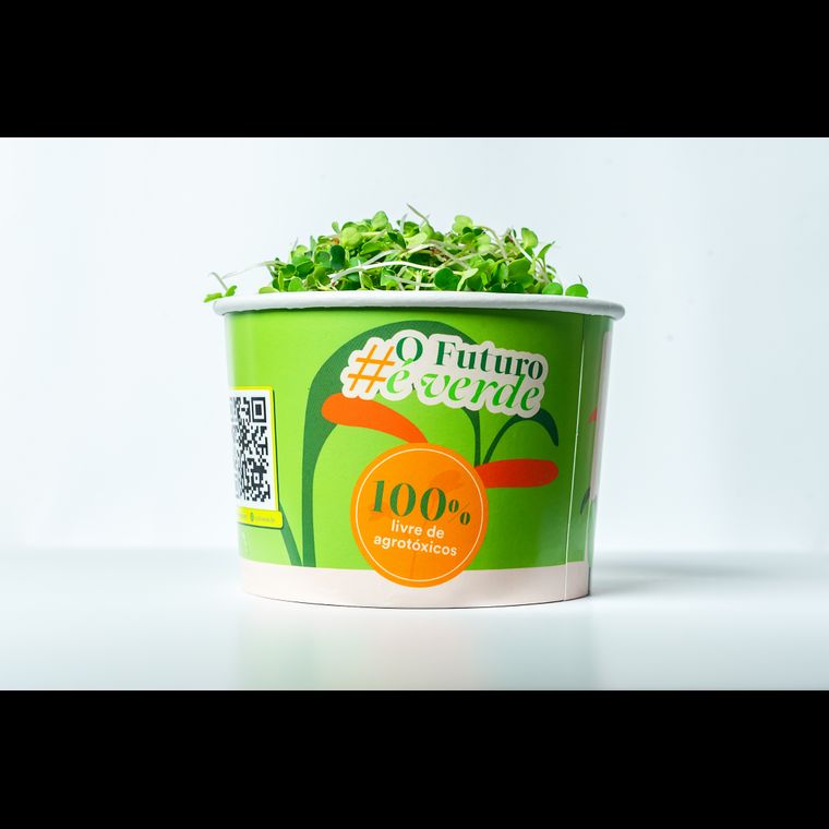 Microverdes de Rucula