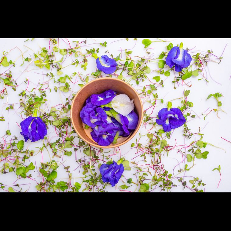 Mix Flores Comestíveis