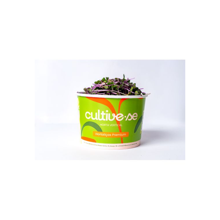 Microverdes de Repolho Roxo