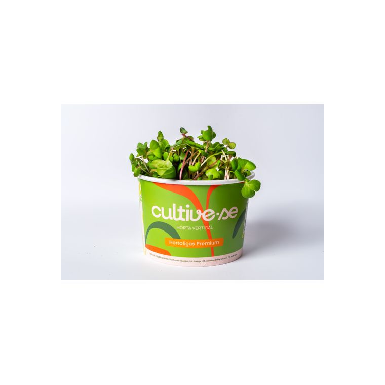 Microverdes de Rabanete 