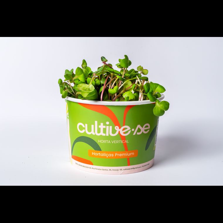 Microverdes de Rabanete 