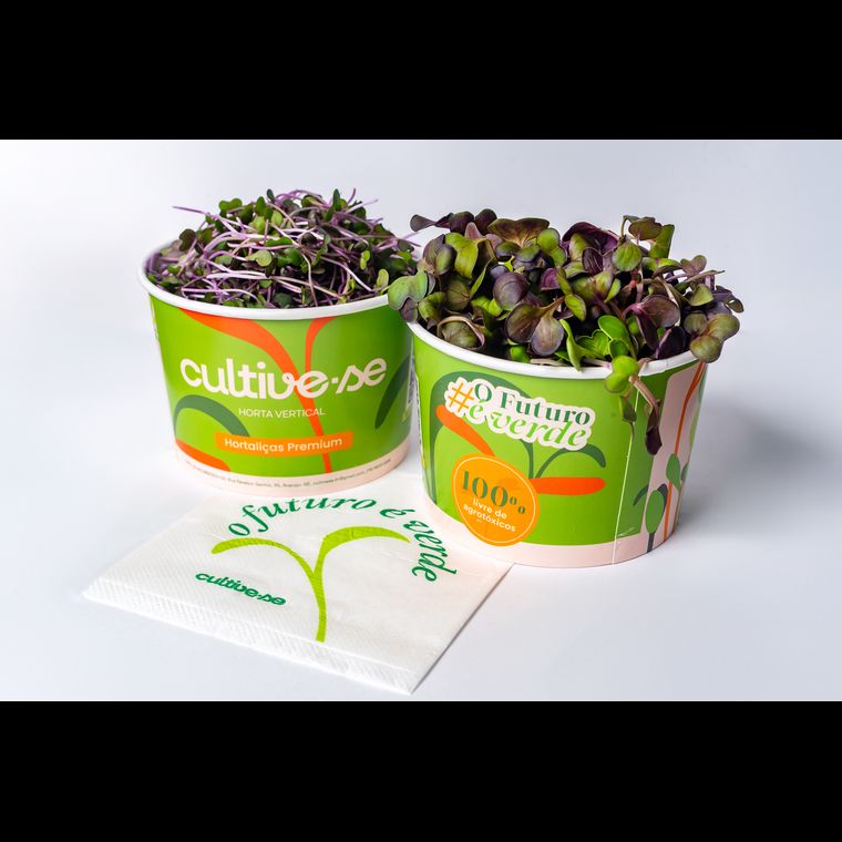 Microverdes de Repolho Roxo