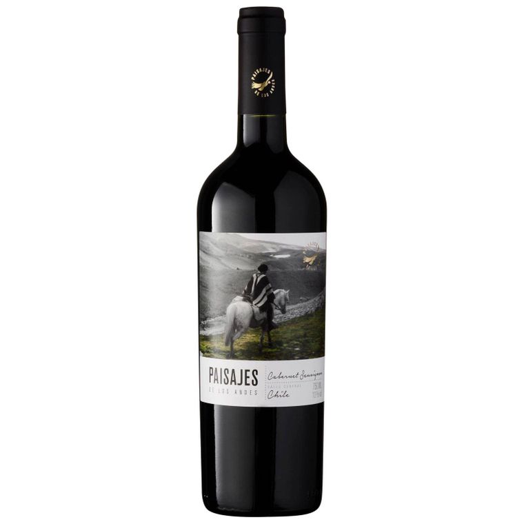 220423 - VINHO FINO TINTO SECO PAISAJES DE LOS ANDES CLASIC MERLOT 750ML SF 2023