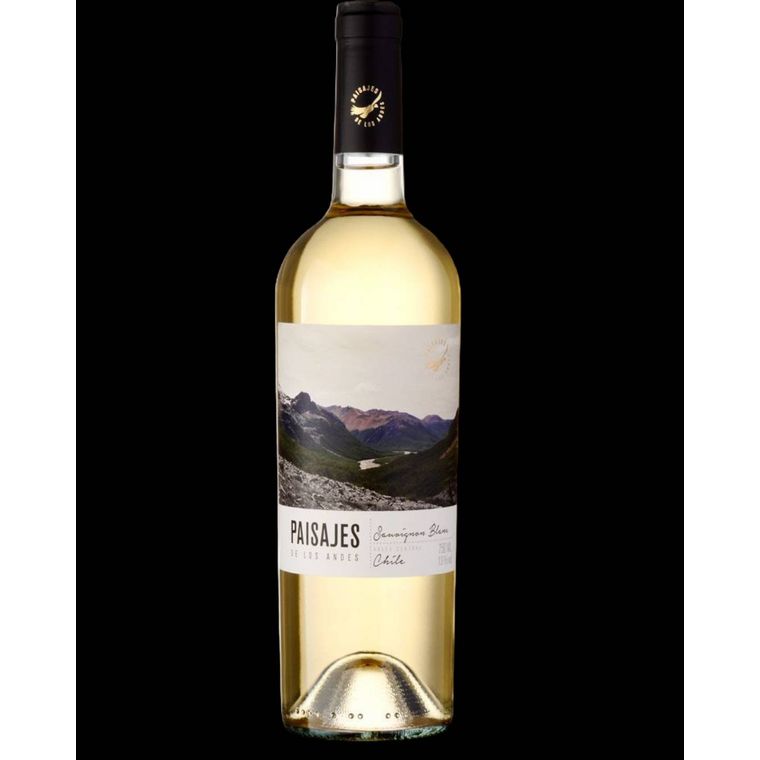 VINHO FINO BRANCO SECO PAISAJES DE LOS ANDES CLASSIC SAUVIGNON BLANC 750ML SF 2025