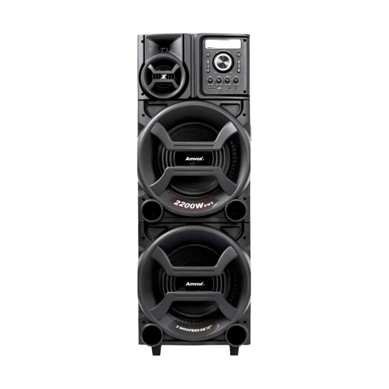 Caixa Amplificada ACA 2201 Pesadão II Amvox