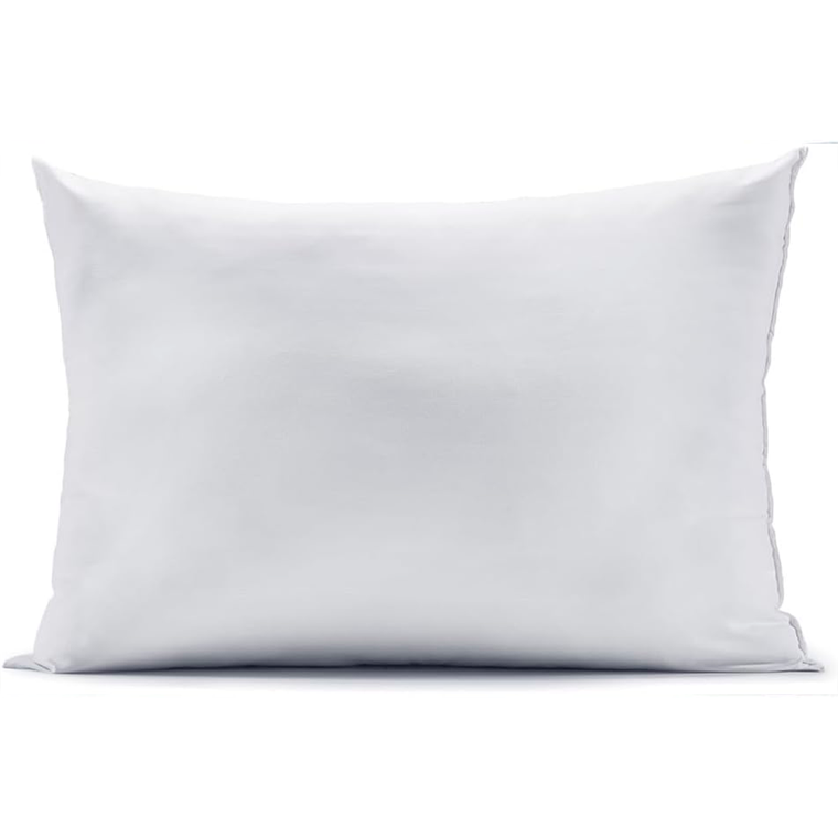 Travesseiro Toque De Pluma Branco Altenburg