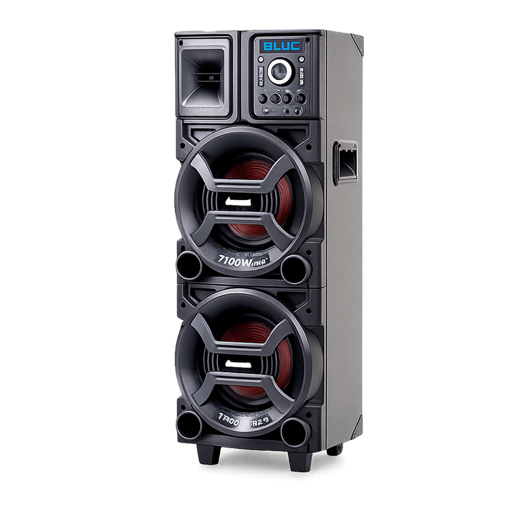 Caixa Amplificada ACA 1101 ACK Duplo 8 1100W Amvox